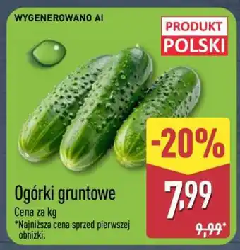 ALDI Ogórki gruntowe oferta