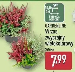 ALDI GARDENLINE oferta