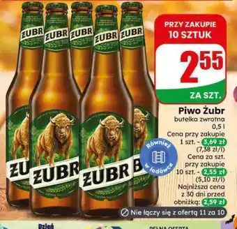 Dino Piwo ŻUBR oferta