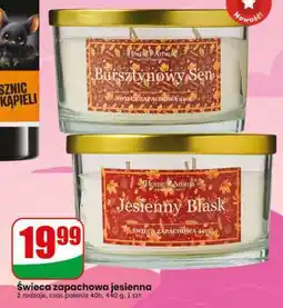 Dino Świeca zapachowa jesienna oferta