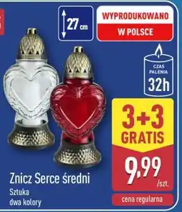 ALDI Znicz Serce średni oferta