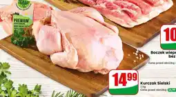 Dino Kurczak sielski oferta