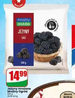 Dino Jeżyny mrożone Mroźny Ogród oferta