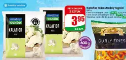 Dino Kalafior róża Mroźny Ogród oferta