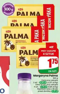 Dino MARGARYNA PALMA oferta