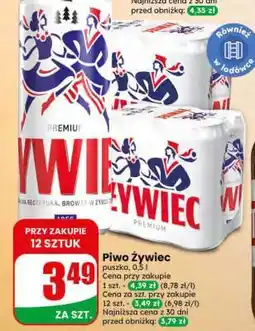 Dino Piwo Żywiec oferta