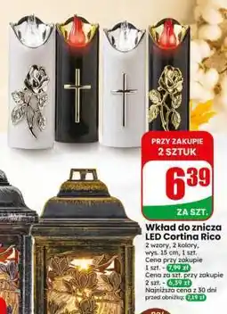 Dino Wkład do znicza LED Cortina Rico oferta