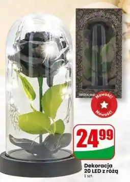 Dino Dekoracja 20 LED z różą oferta