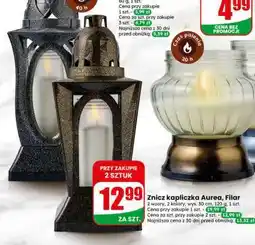 Dino Znicz kapliczka Aurea, Filar oferta