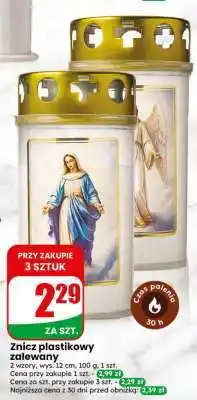 Dino Znicz plastikowy zalewany oferta