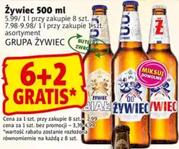 Prim Market Żywiec oferta