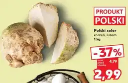 Kaufland Polski seler oferta