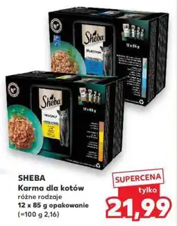 Kaufland SHEBA Karma dla kotów oferta