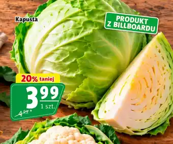 Prim Market Kapusta oferta