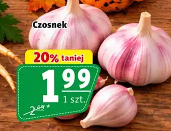 Prim Market Czosnek oferta