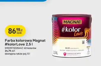 Castorama Farba kolorowa Magnat #kolorLove oferta