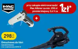 Castorama Dmuchawa do liści oferta