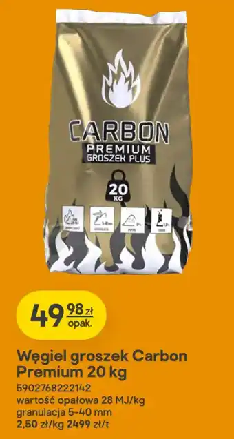 Castorama Węgiel groszek Carbon Premium oferta