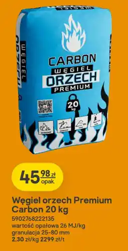 Castorama Węgiel orzech Premium Carbon oferta