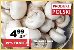 Netto Pieczarka biała oferta