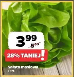Netto Sałata masłowa oferta