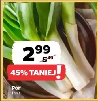 Cebula
