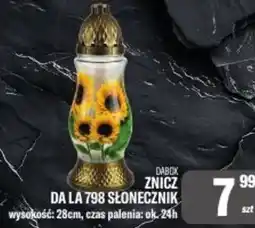 TomiMarkt Dabok Znicz Da La 798 Słonecznik oferta