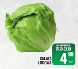 TomiMarkt Sałatka Lodowa oferta