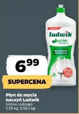 Netto Płyn do mycia naczyń Ludwik oferta