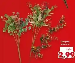 Kaufland Gałązka jesienna oferta