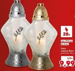 Kaufland Znicz szklany Róża oferta