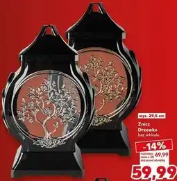 Kaufland Znicz Drzewko bez wkładu oferta