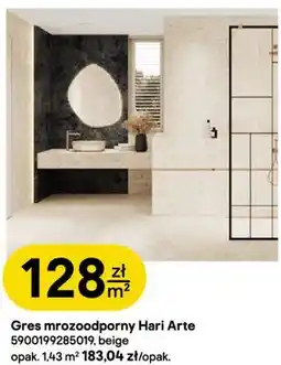 Castorama Tubadzin Gres mrozoodporny Hari Arte beige oferta