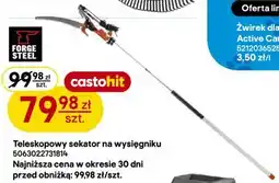 Castorama Teleskopowy sekator na wysięgniku Forge Steel oferta