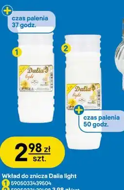 Castorama Wkład do znicza Dalia light oferta