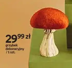 Grzybek dekoracyjny Hello Autumn