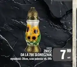 TomiMarkt Znicz Da La 798 Słonecznik Dabox oferta