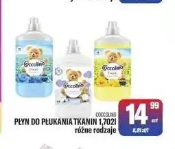 TomiMarkt Płyn do płukania tkanin Coccolino oferta