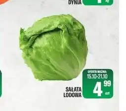 TomiMarkt Sałata lodowa oferta