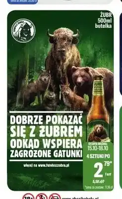 TomiMarkt Piwo Żubr oferta
