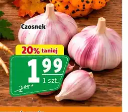 Prim Market Czosnek oferta
