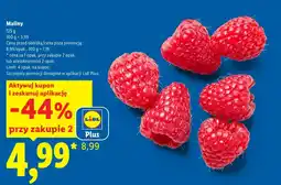 Lidl Maliny Plus-Plus oferta