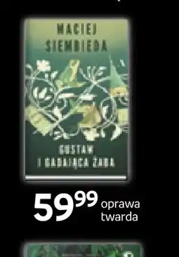 Empik Książka Kai i gadająca żaba Maciej Siembieda oprawa twarda oferta