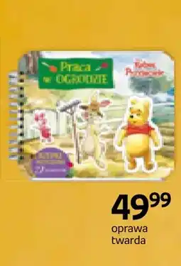 Empik Książka Kubuś i Przyjaciele Praca w ogrodzie oprawa twarda oferta
