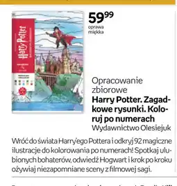 Empik Książka Harry Potter. Zagadkowe rysunki. Koloruj po numerach oferta