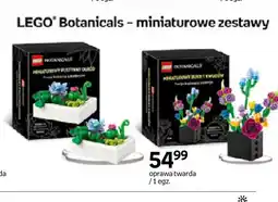 Empik Zestaw LEGO Botanicals Miniaturowy pustynny ogród oferta