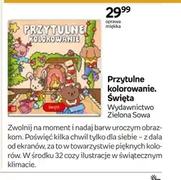 Empik Kolorowanka Przytulne kolorowanie Święta Zielona Sowa oferta