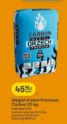 Castorama Węgiel orzech Premium Carbon oferta