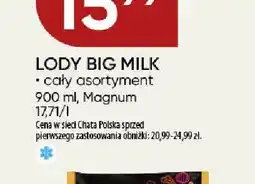 Chata Polska Lody Big Milk oferta