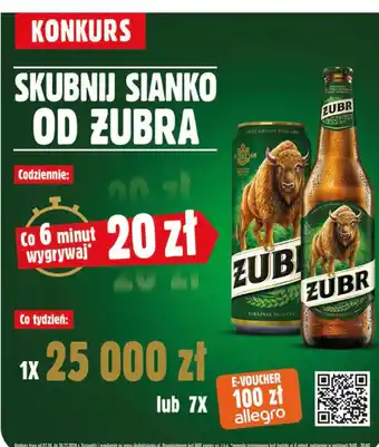 Groszek Zubr oferta